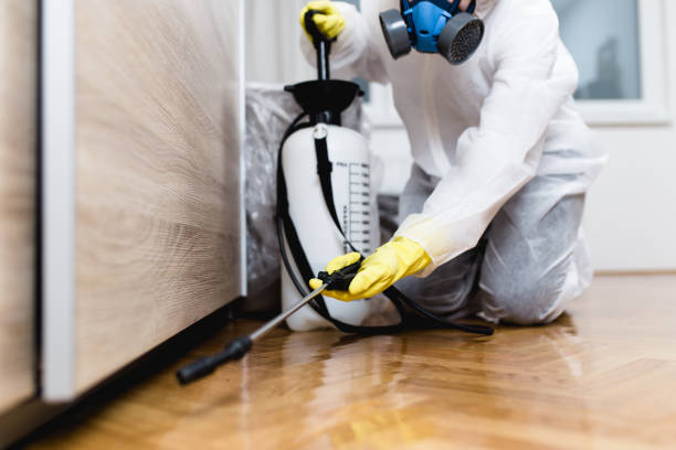Best Commercial Pest Control Services  in East Ithaca, NY