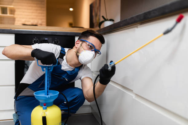 Best Bed Bug Extermination  in East Ithaca, NY