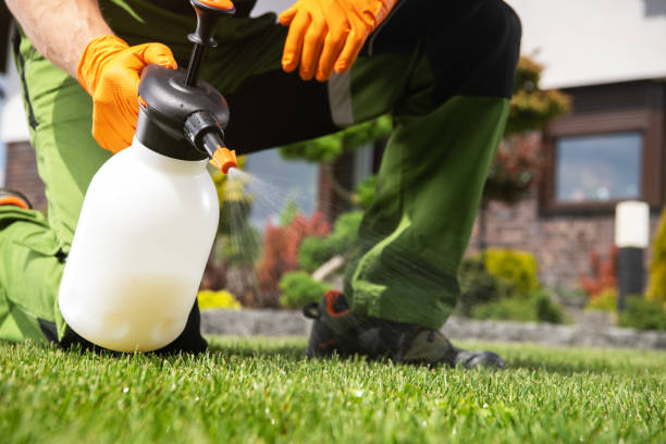 Best Residential Pest Control  in East Ithaca, NY
