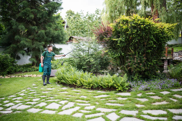 Trusted East Ithaca, NY Pest Control Experts