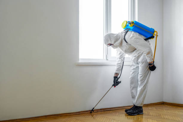 Best Pest Removal Services  in East Ithaca, NY