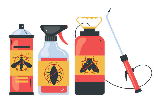 Wasp Removal Services in East Ithaca, NY