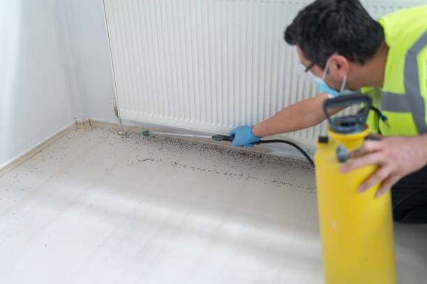 Best Ant Control Services  in East Ithaca, NY
